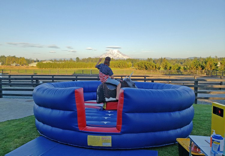 MECHANICAL BULL